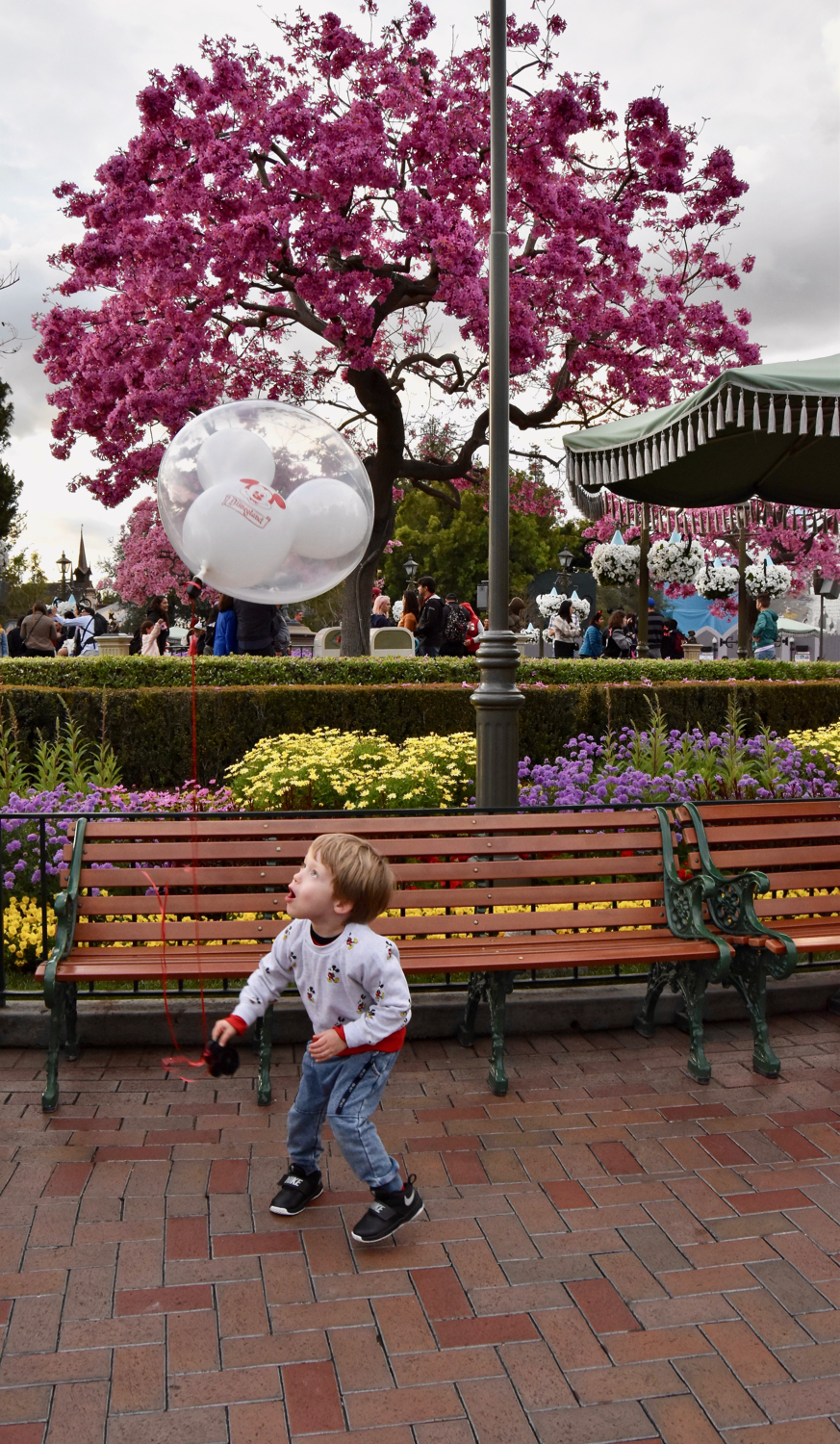 Guide To Disneyland With Toddlers, Raise Magazine