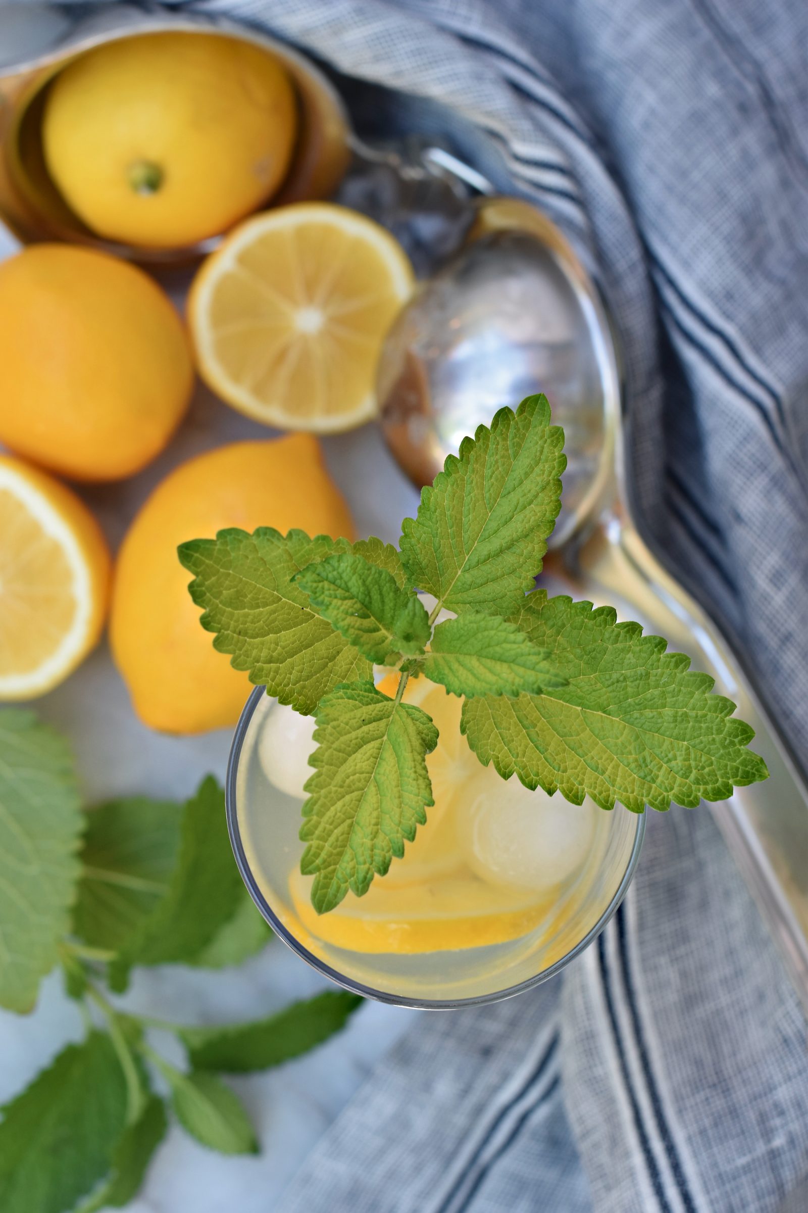 Lemon Balm Gin & Tonic, Raise Magazine