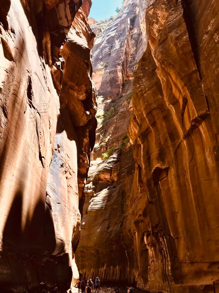 A Family Vacation During Covid: Zion National Park