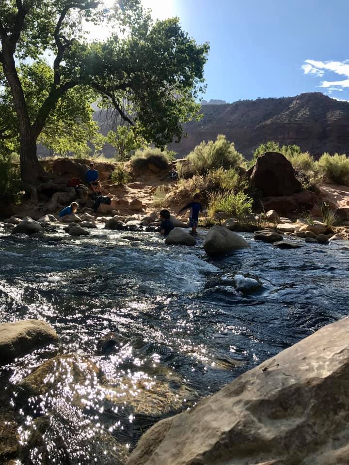 A Family Vacation During Covid: Zion National Park