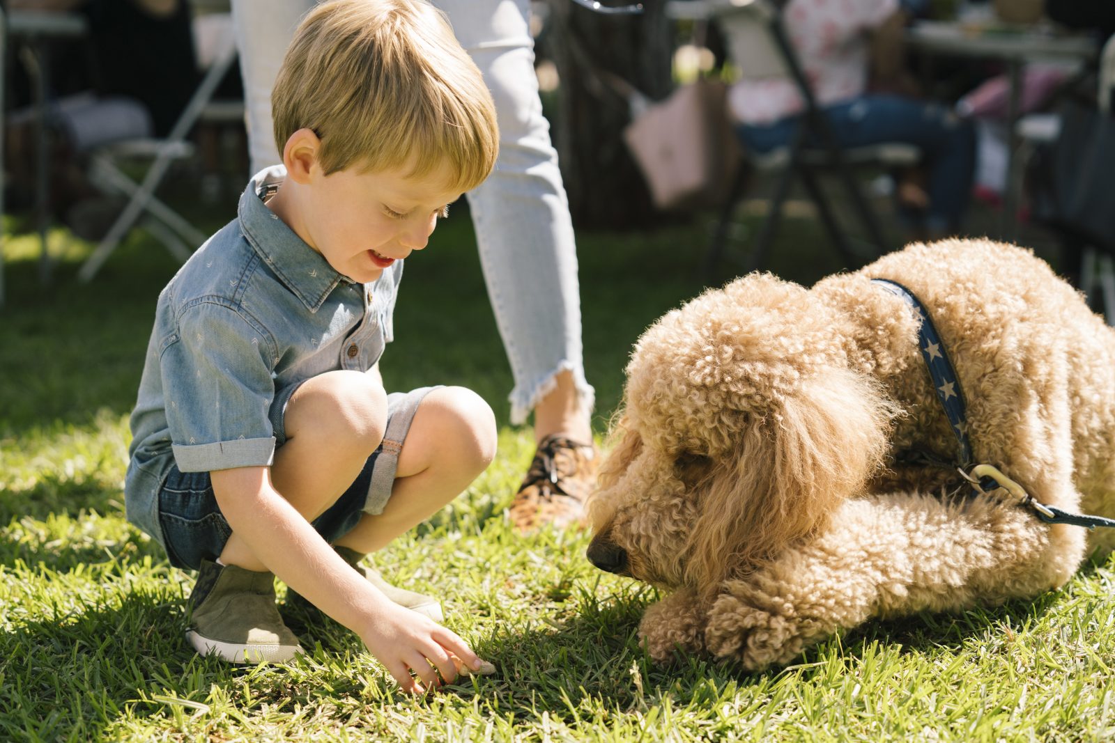Adoption Profile Tips: The One Thing You Should Never Say In Your Profile, Raise Magazine