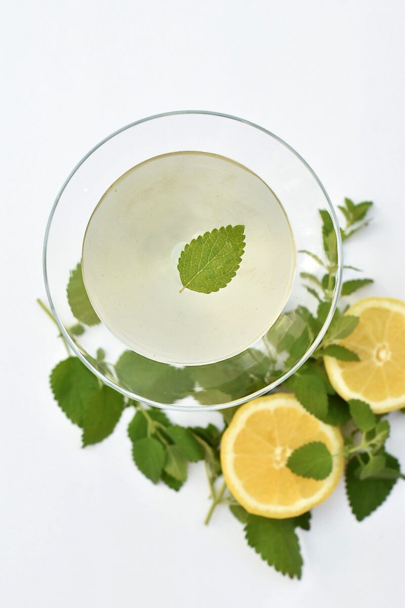 lemon balm martini recipe