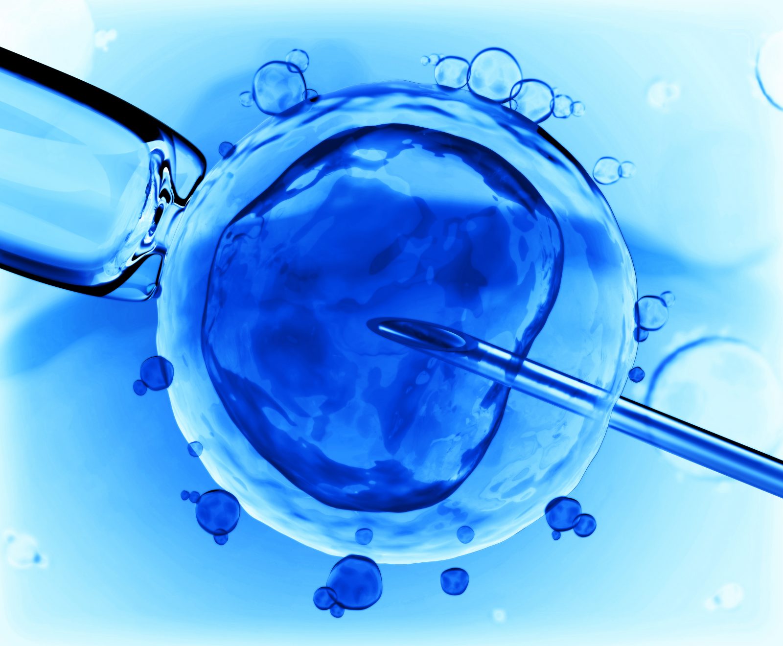 10 Things You Should Know About Surrogacy In America