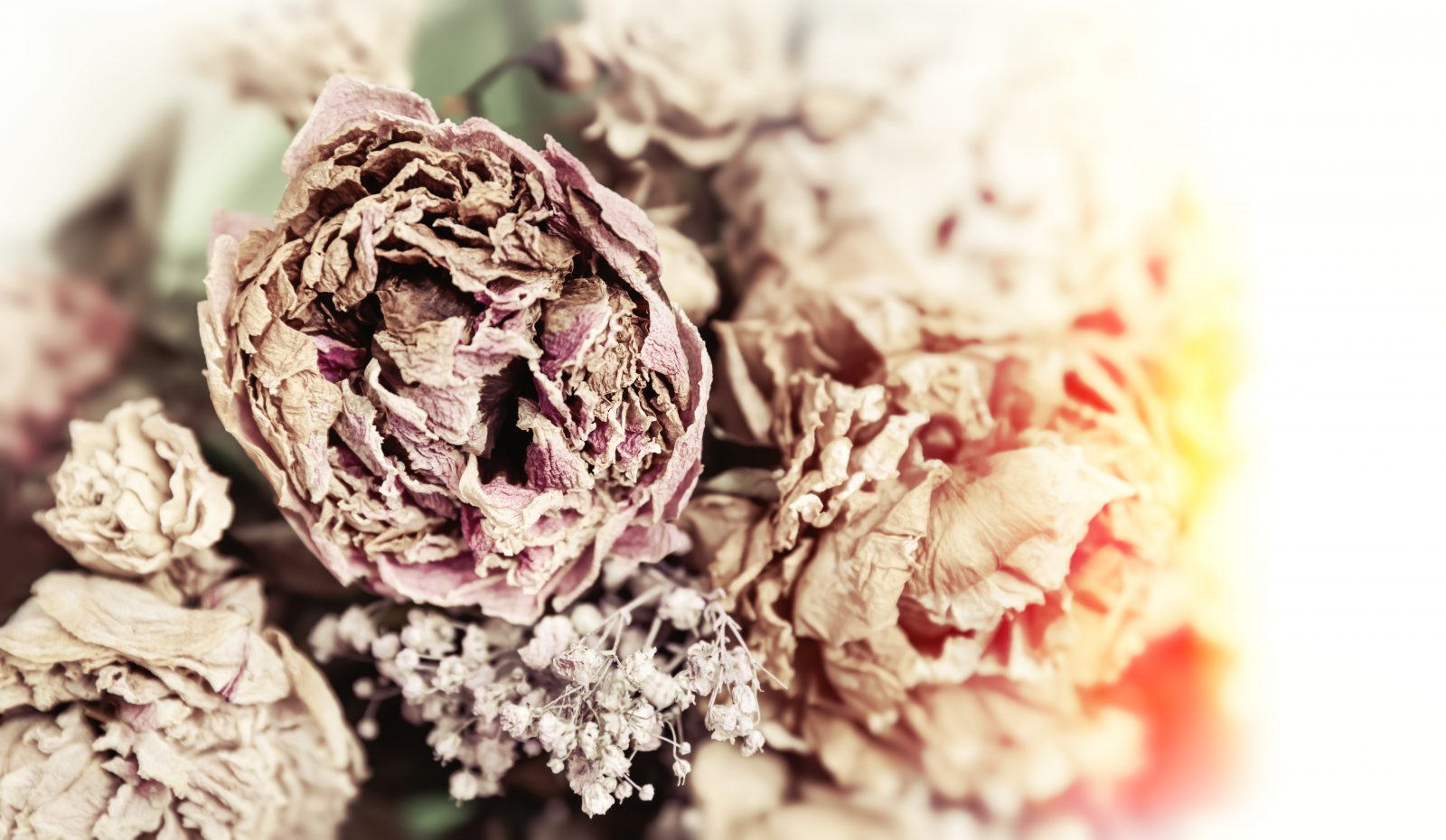 What Did You Do With Your Wedding Album After Your Divorce?