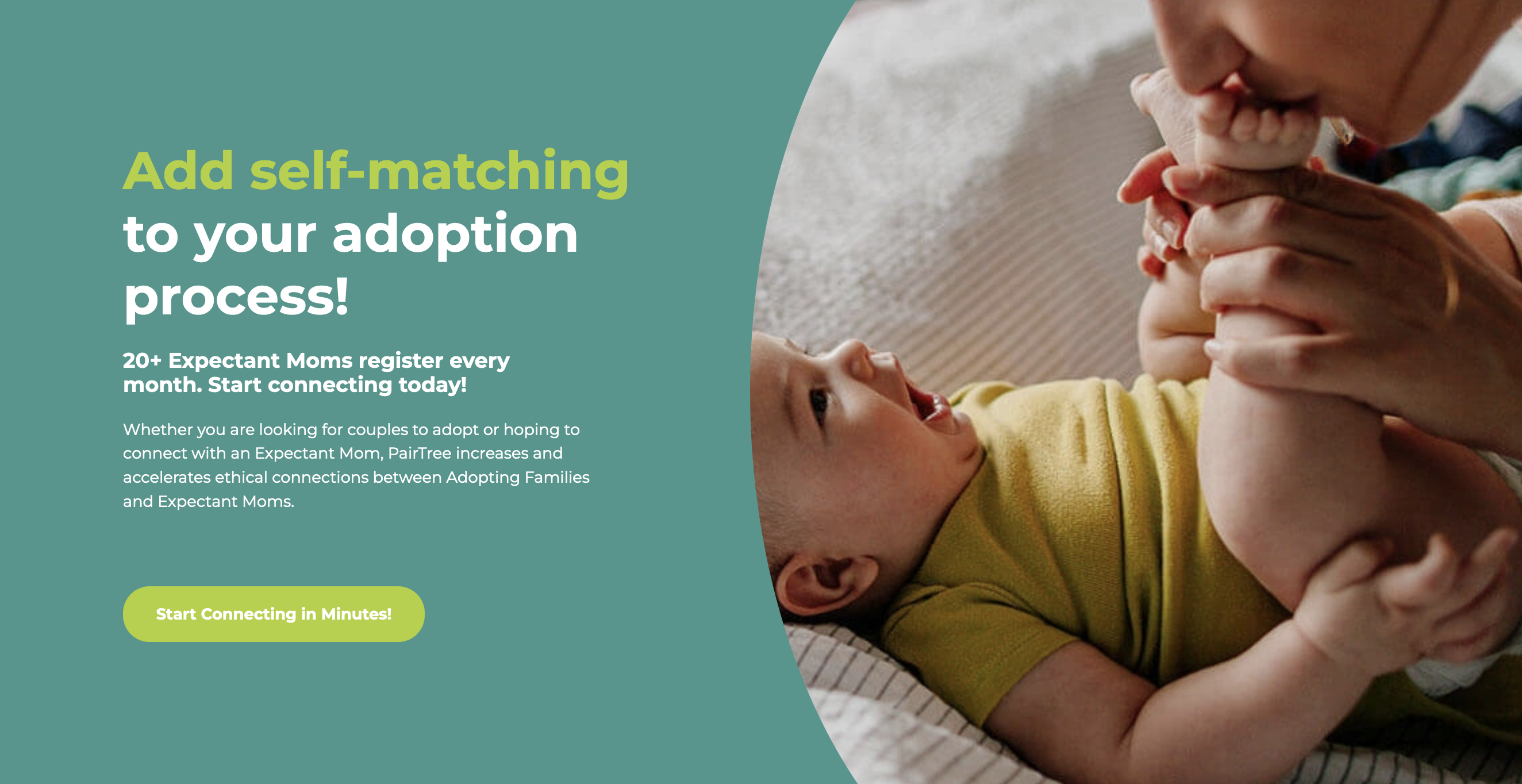 How To Start Your Adoption Process With PairTree